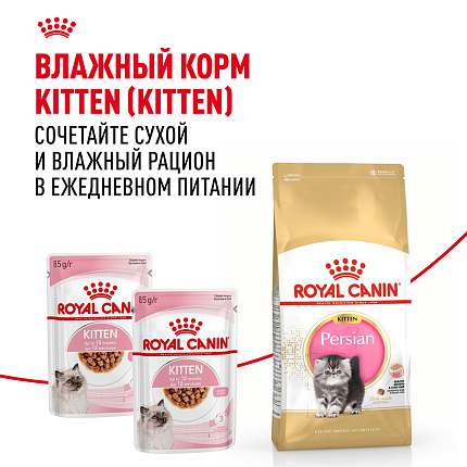 Royal Canin Persian Kitten Корм сухой сбалансированный для персидских котят (до 12 месяцев), 10 кг